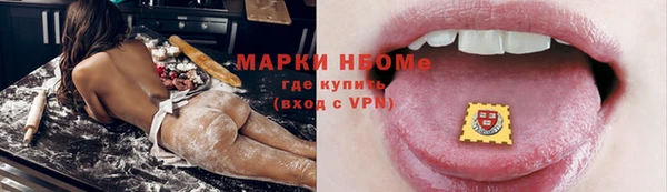 индика Абинск
