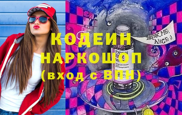 индика Абинск