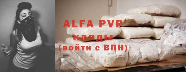 индика Абинск