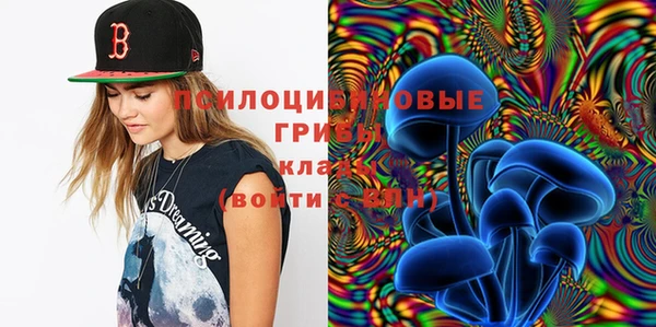 индика Абинск