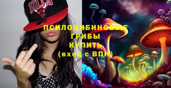 индика Абинск