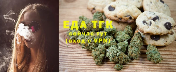 индика Абинск