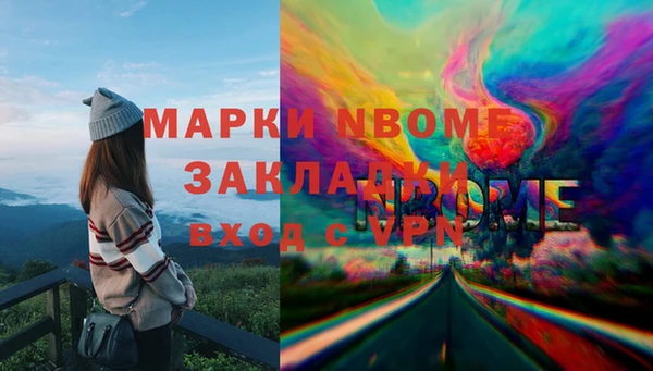индика Абинск