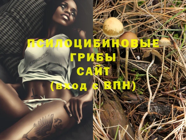 бошки Абдулино