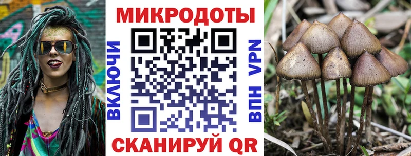 нарко площадка телеграм  купить наркоту  Гусиноозёрск  Псилоцибиновые грибы мухоморы 